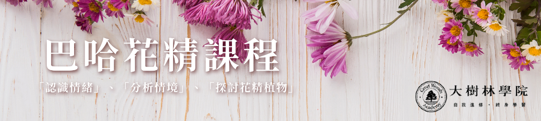 巴哈花精課程